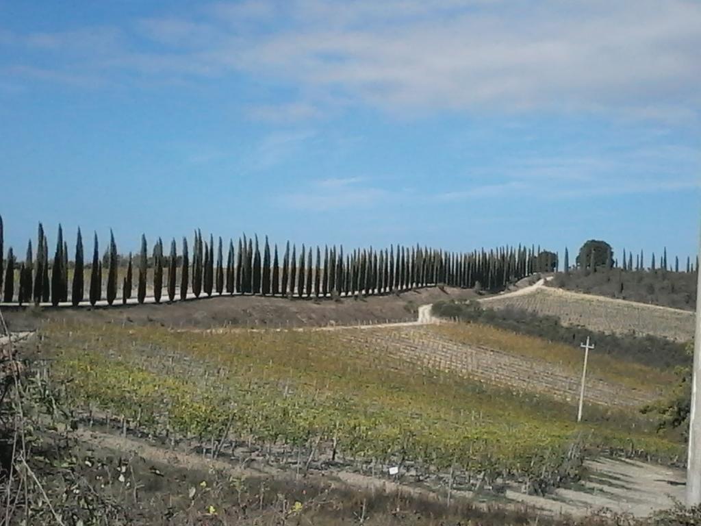 Cisterna Nel Borgo Hotel กัสตีลีโยเน ดิ ออร์ชา ภายนอก รูปภาพ